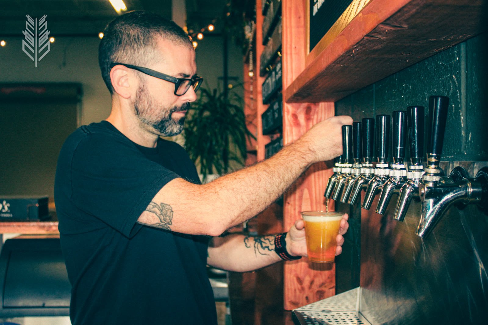 Pouring a fresh pint from the tap.